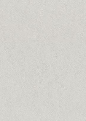 RENOLIT ALKORCELL Vintage Leather White Download File 
